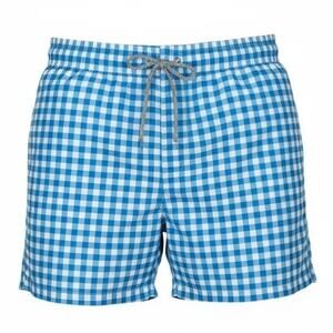 Michaels Swimwear Gingham Check Swim Trunk Shorts Blue White Size L